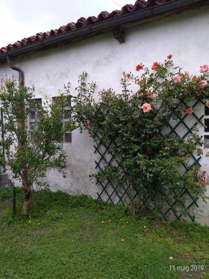 Beb Infamiglia Bed & Breakfast Cascinette Luaran gambar